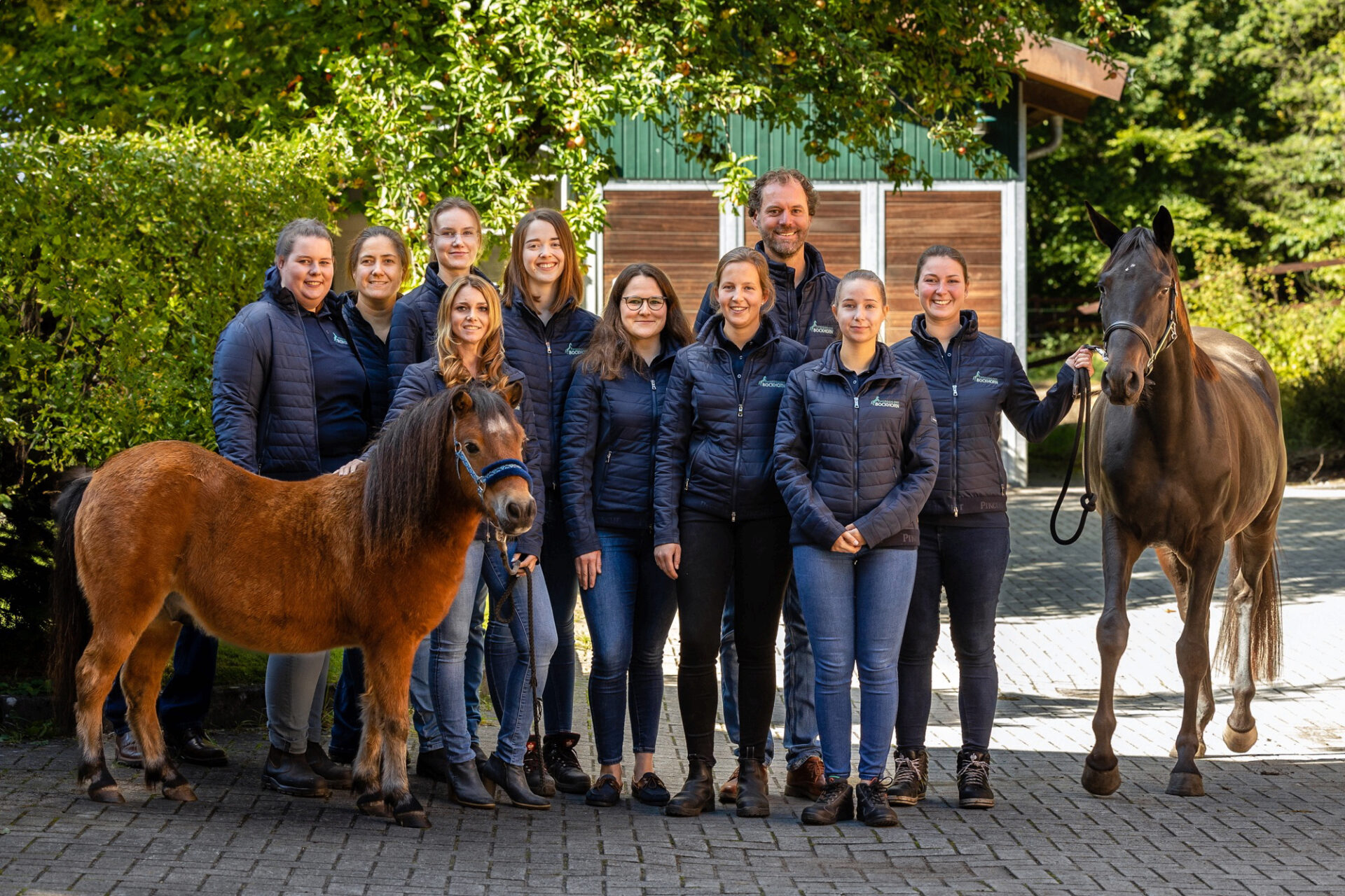 Teaserbild Pferdeklinik Bockhorn GmbH